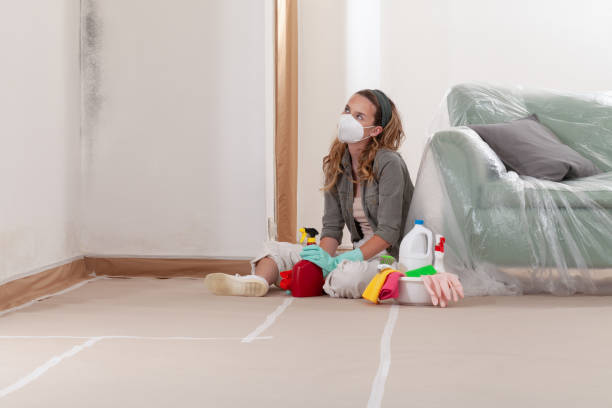 Reliable Mold Remediation contractor in Hampton, GA by 24 Hour Mold Removal